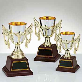 優勝カップJAS-C-1852