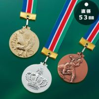 表彰メダルJAS-LM-53