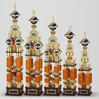 チャンピオントロフィーJAS-T-361