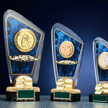 アクリル表彰楯JW-S-6029