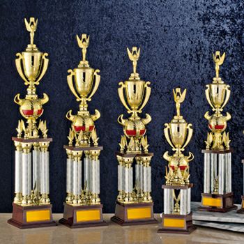 ゴールドを基調とした表彰用チャンピオントロフィーチャンピオン