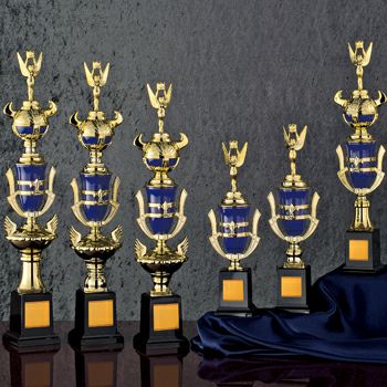 Championship 2022日本大会ベスト16トロフィーカード Championship 2022日本大会ベスト16トロフィーカード （セミ