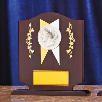 木製表彰楯JG-D-007