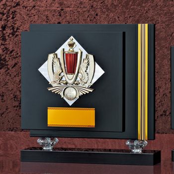 木製表彰楯JG-D-003