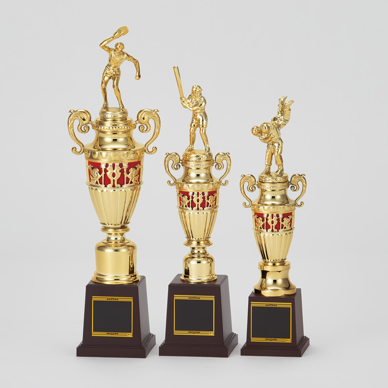 スタンダードトロフィーJAS-T-342