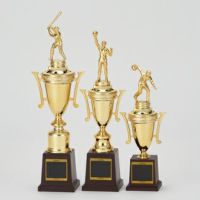 スタンダードトロフィーJAS-T-338