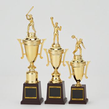 スタンダードトロフィーJAS-T-338