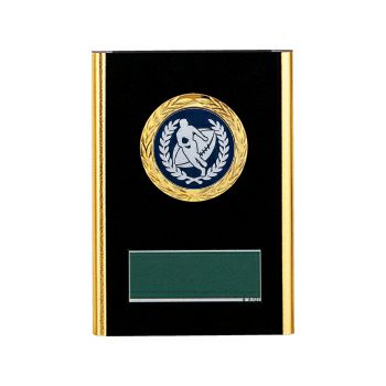 ラグビー・アメフト木製表彰楯JW-RS-6097-ball-other