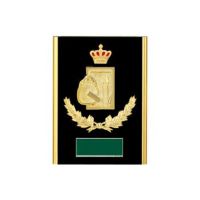 書道木製表彰楯JW-SO-5237