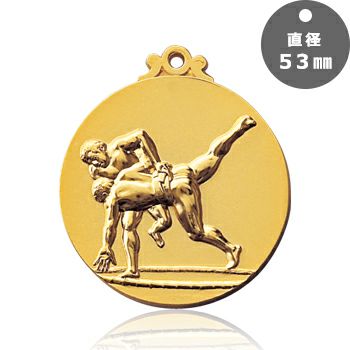 相撲表彰メダルJAS-RLM-53-combat-other