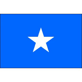 外国旗・卓上旗ソマリア