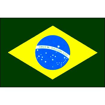 ブラジル用外国旗・卓上旗の外国旗・卓上旗ブラジル｜ジョイタス