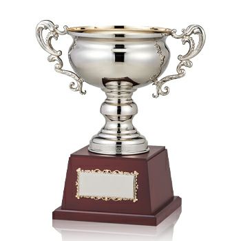 ソフトボール優勝カップJW-ES-1027-softball