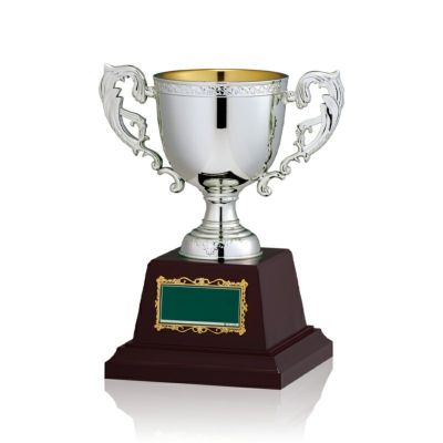 サッカー優勝カップJW-CP-1058-soccer