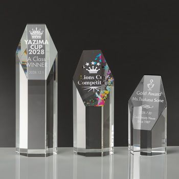 【お急ぎ便】セミオーダートロフィーJA-AK-1600