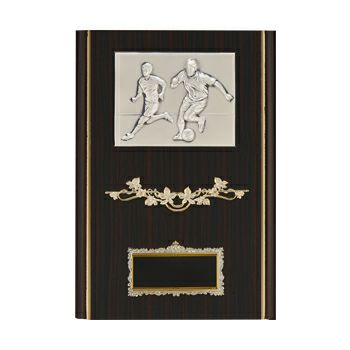 サッカー表彰楯JAS-P-690