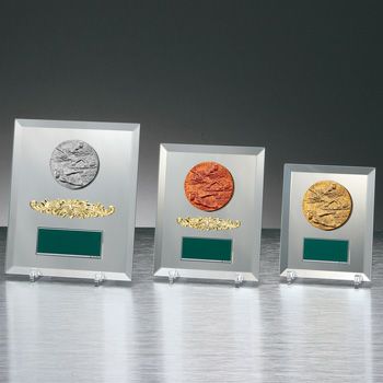 水泳ミラー表彰楯JW-S-6019-swimming