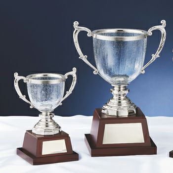 クリスタル優勝カップJS-YC-4910