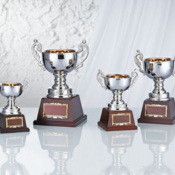 優勝カップJS-NO-4219