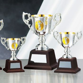 ゴルフ優勝カップJS-NO-4529