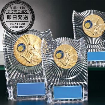 【即日発送】お急ぎ便バスケットボールアクリル表彰楯J-P-180-basketball