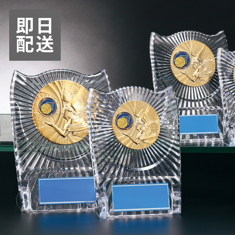 【即日発送】お急ぎ便バスケットボールアクリル表彰楯J-P-180-basketball