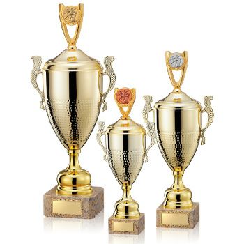 ラグビー・アメフトハンドボール優勝カップJW-C-1046-ball-other