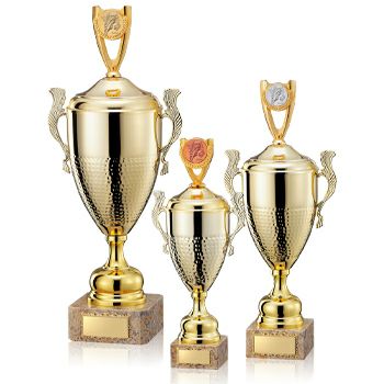 ダーツ優勝カップJW-C-1046-darts