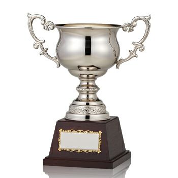 高級カップJW-ES-1030