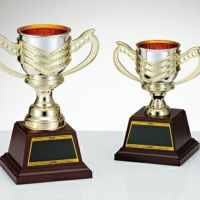 優勝カップJAS-C-1853