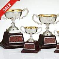 優勝カップJAS-C-1719