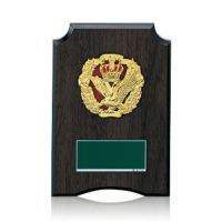 樹脂製表彰楯JW-SO-5202