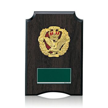 樹脂製表彰楯JW-SO-5202