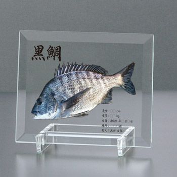 釣り・スポーツフィッシング専用ガラス製デジタル魚拓表彰楯 JW-JHU-7659