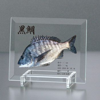 デジタル魚拓楯JW-JHU-7659