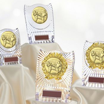 テコンドーアクリル表彰楯JS-ATZ-4477-taekwondo