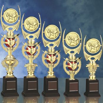 テコンドースタンダードトロフィーJS-TRZ-4326-taekwondo