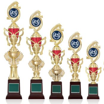 テコンドースタンダードトロフィーJW-RT-3127-taekwondo