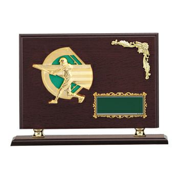 野球木製表彰楯JW-SO-5011