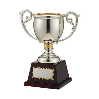 高級カップJW-ES-1026