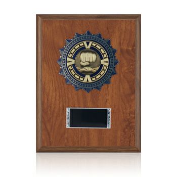 空手木製表彰楯JA-CC-5693