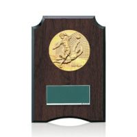 樹脂製表彰楯JW-S-6059