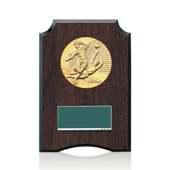 樹脂製表彰楯JW-S-6059