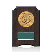 サッカー樹脂製表彰楯JW-S-6059-soccer