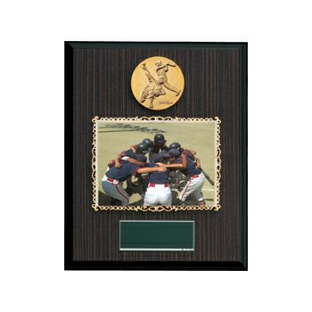 野球フォトフレーム表彰楯JW-BM-8399-baseball