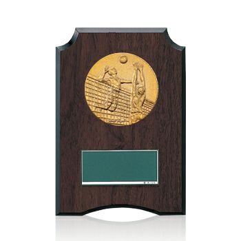 バレーボール樹脂製表彰楯JW-S-6059-volleyball