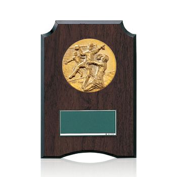 ラグビー・ハンドボール樹脂製表彰楯JW-S-6059-ball-other