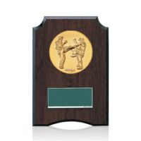 空手樹脂製表彰楯JW-S-6059-karate