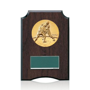 相撲樹脂製表彰楯JW-S-6059-combat-other