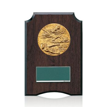 水泳樹脂製表彰楯JW-S-6059-swimming